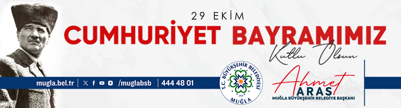 Merkez TV