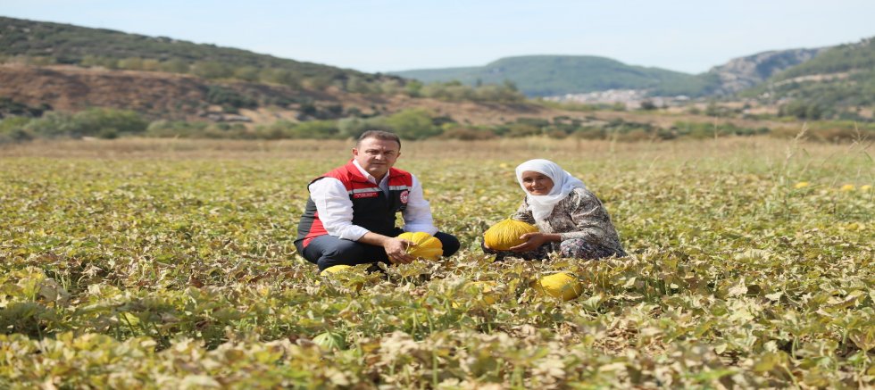 Karabağlar Yaylasında Doğa ve Tarım İç İçe